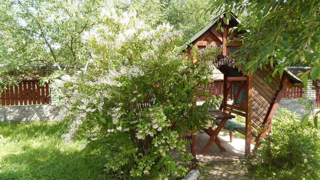 Usadba Bigar Villa Volovăţ Exterior foto